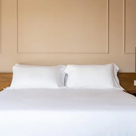 Gv Collection - San Pietro Dome